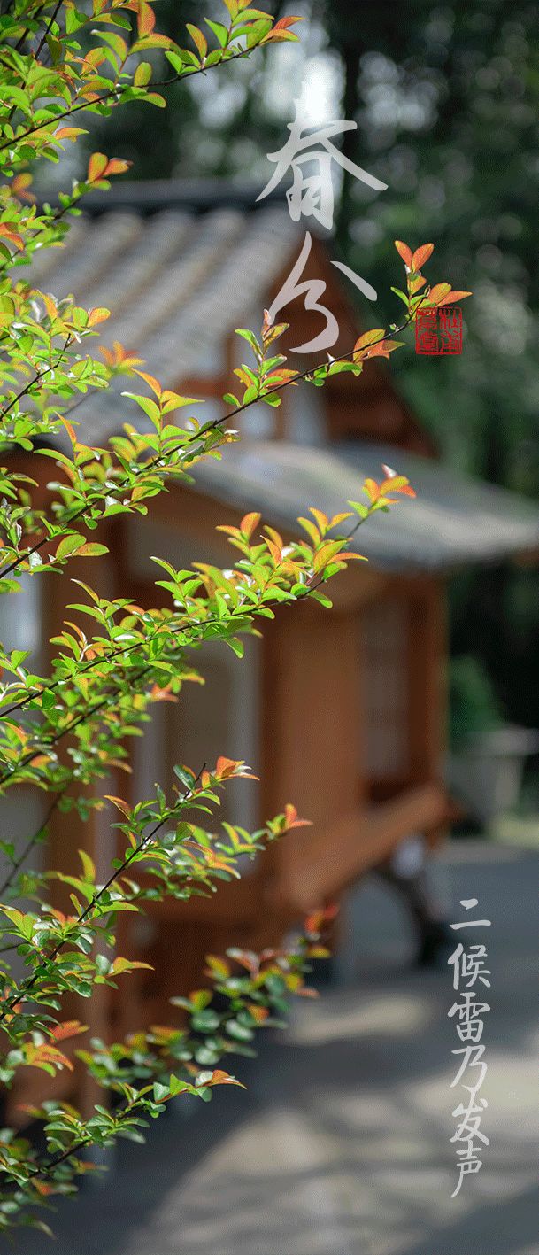 今日秋分丨秋实春华，草堂浮生