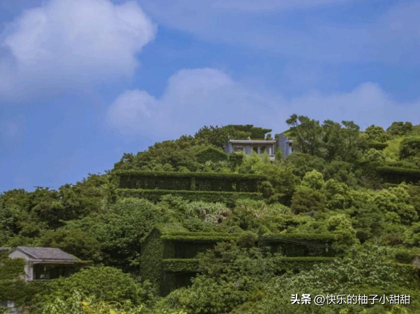 终于通车！这座在浙江低调了千年的“海上悬岛”，目测要火！