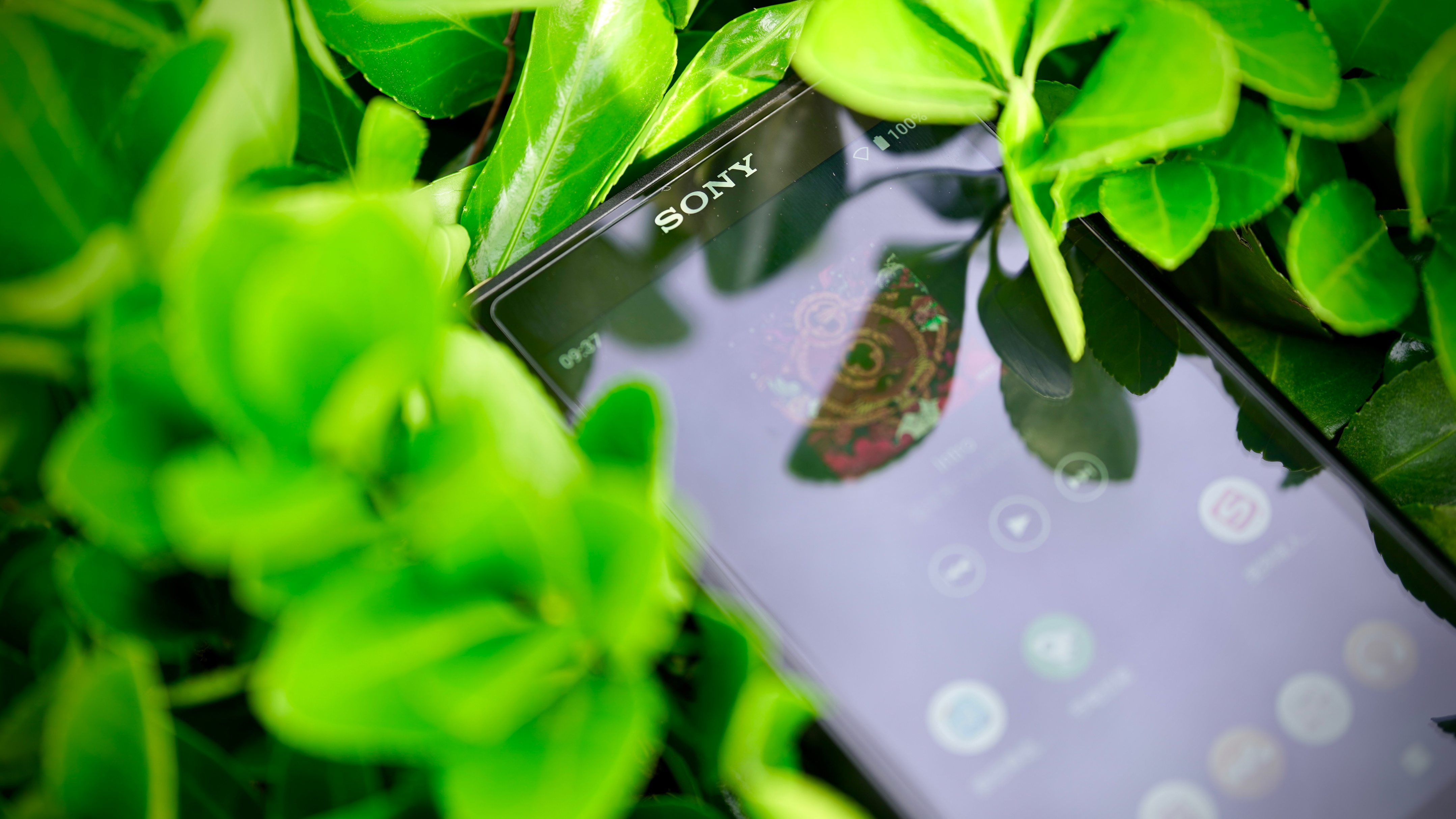 索尼walkman单放机,索尼walkmanwm2