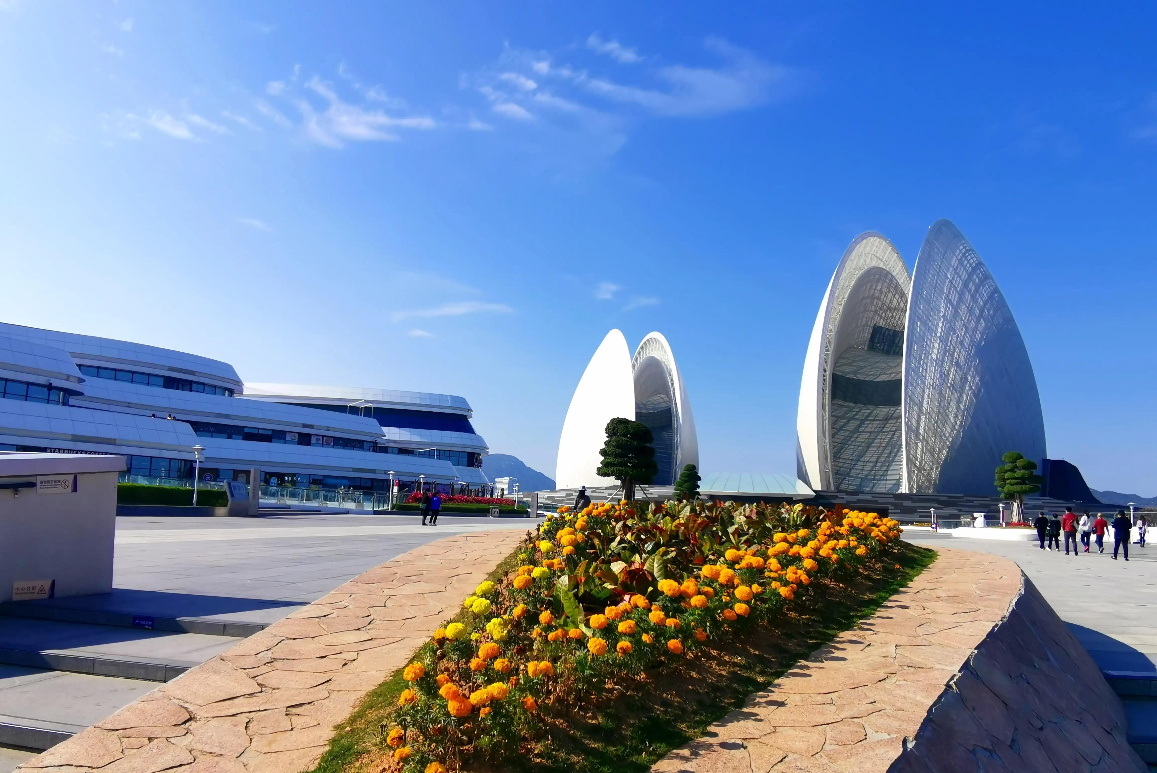 醉爱，珠海那片心海——日月贝