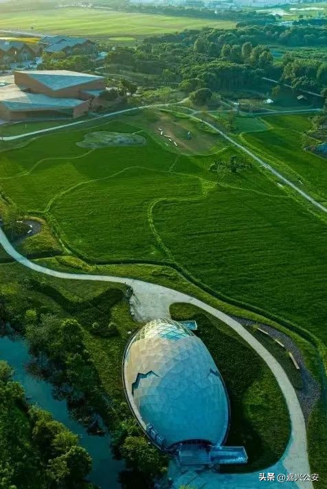 嘉兴人能领的补贴,嘉兴市民发放2亿券