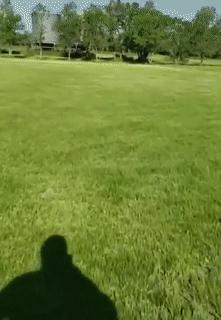 女朋友过生日送七夕礼物,女朋友送我生日礼物感动哭了