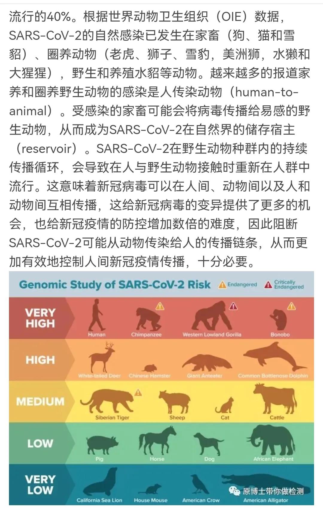 为什么宠物不携带新冠病毒,央视新闻发布宠物不携带新冠病毒