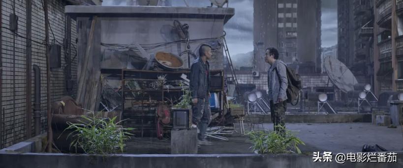 10部好片,诞生了多部叫好又叫座的佳片