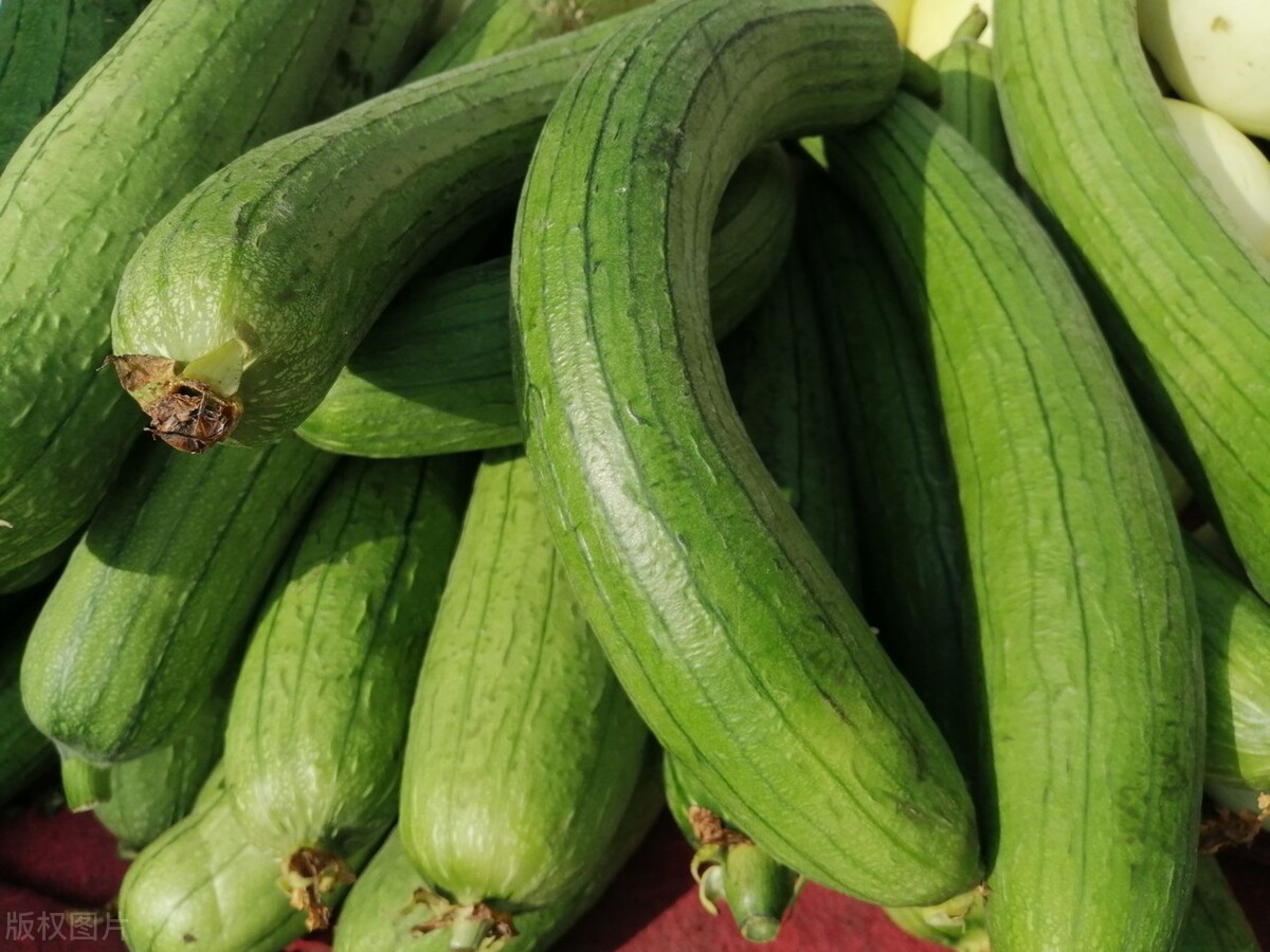 清炒丝瓜不焯水会黑吗,炒丝瓜切记不要先放油