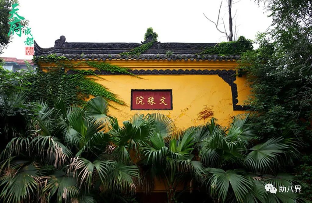 成都拍照打卡景点有哪些,成都必打卡的十大景点排名