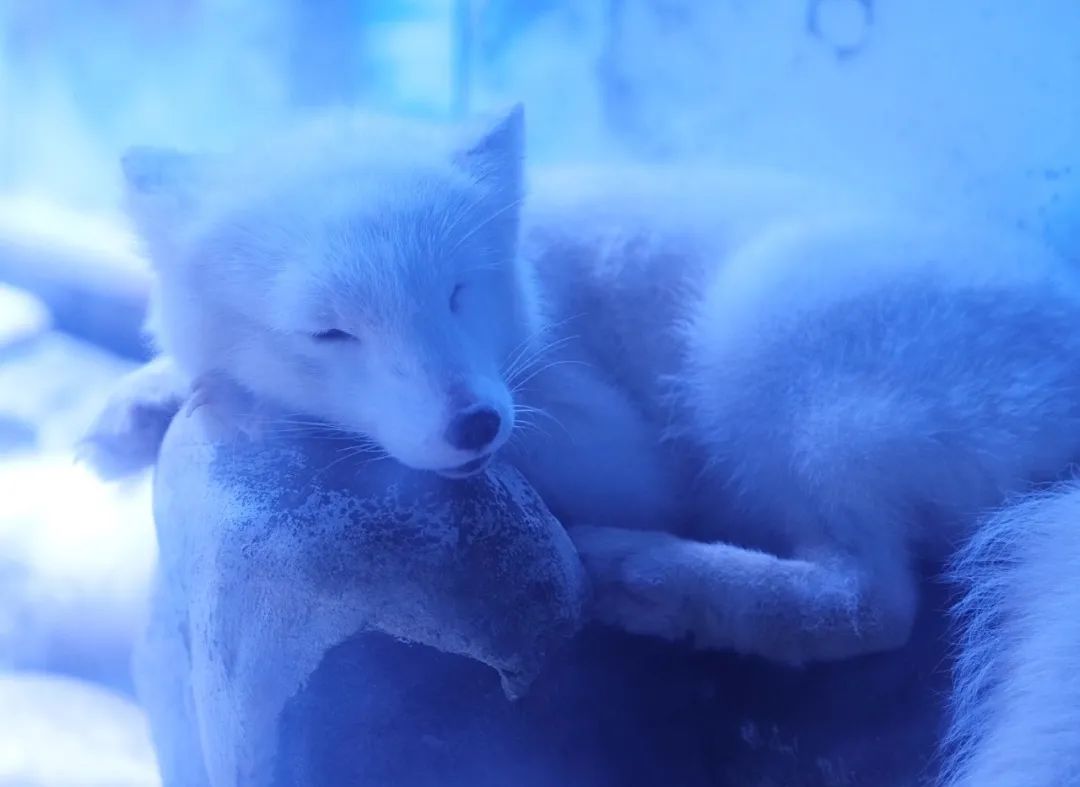 海昌游玩路线攻略,海昌门票攻略