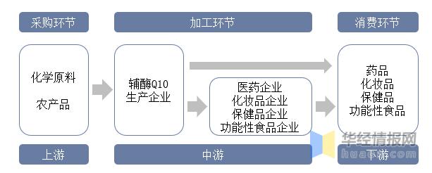 辅酶Q10行业发展前景如何？未来的市场上升空间大