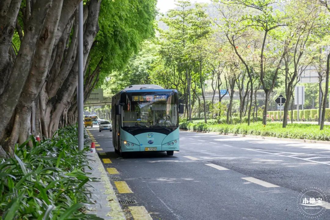 深圳宝安机场短途车攻略,深圳机场出行攻略