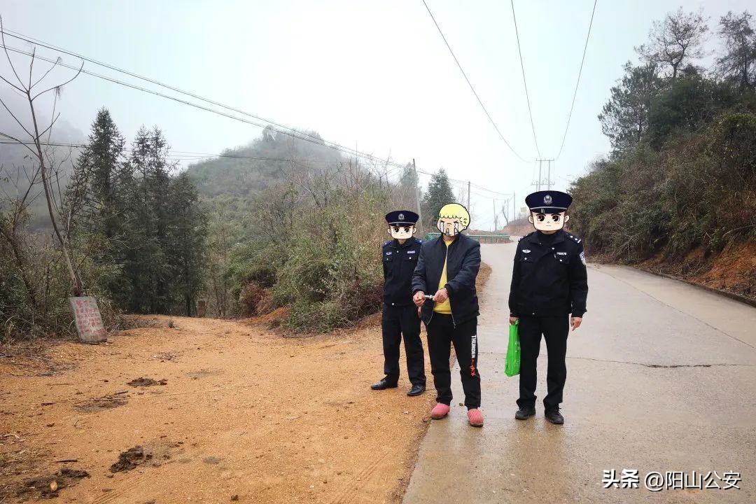 同村生意人，相煎何太急？——阳山这三兄弟竟结伙做这种事……