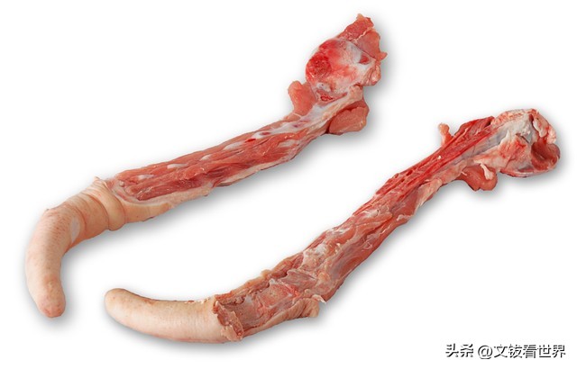 文钹开讲——说说猪尾巴