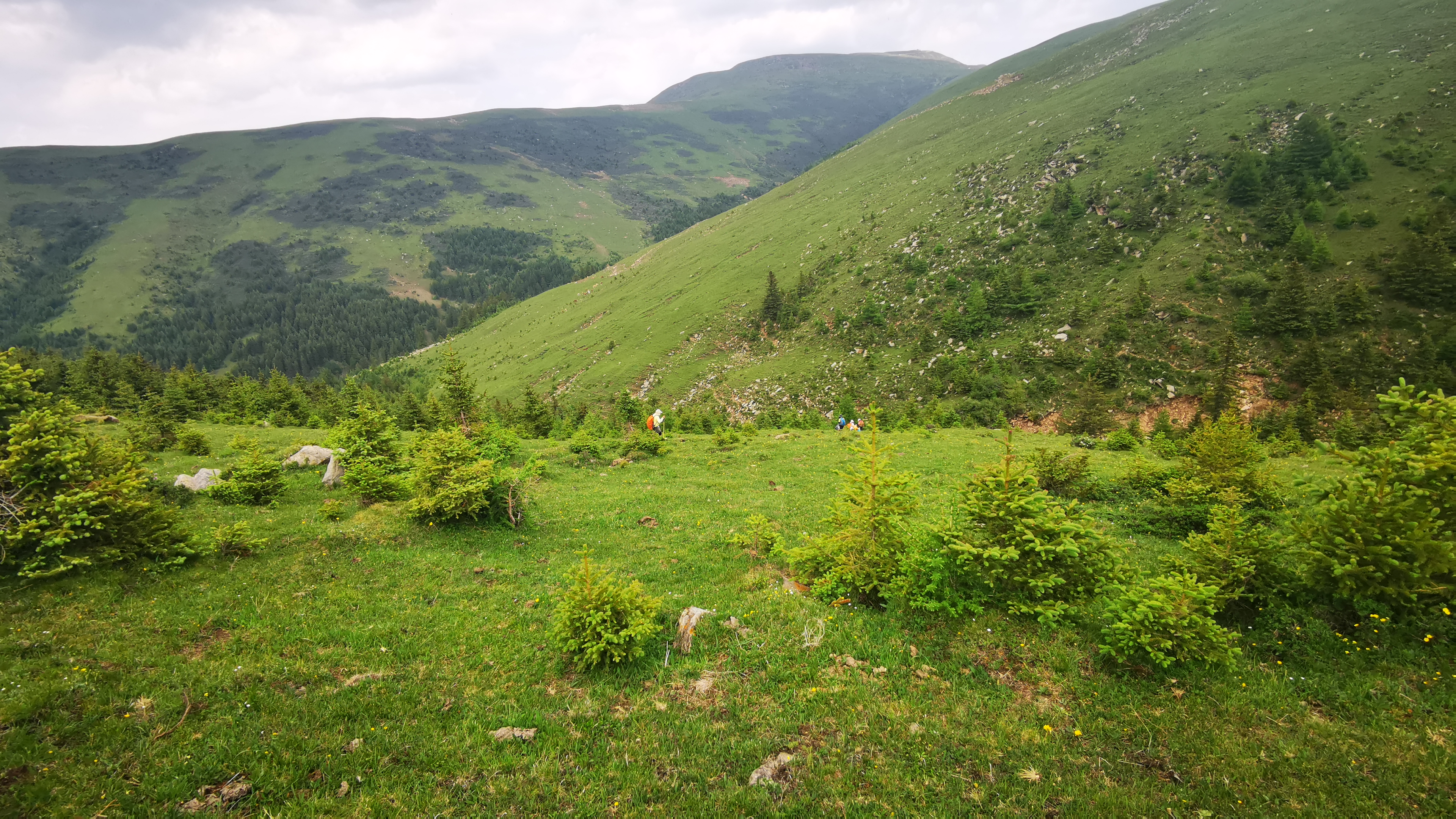 端午节五台山三日大五朝台第二天（西台-中台-插旗台-澡浴池）
