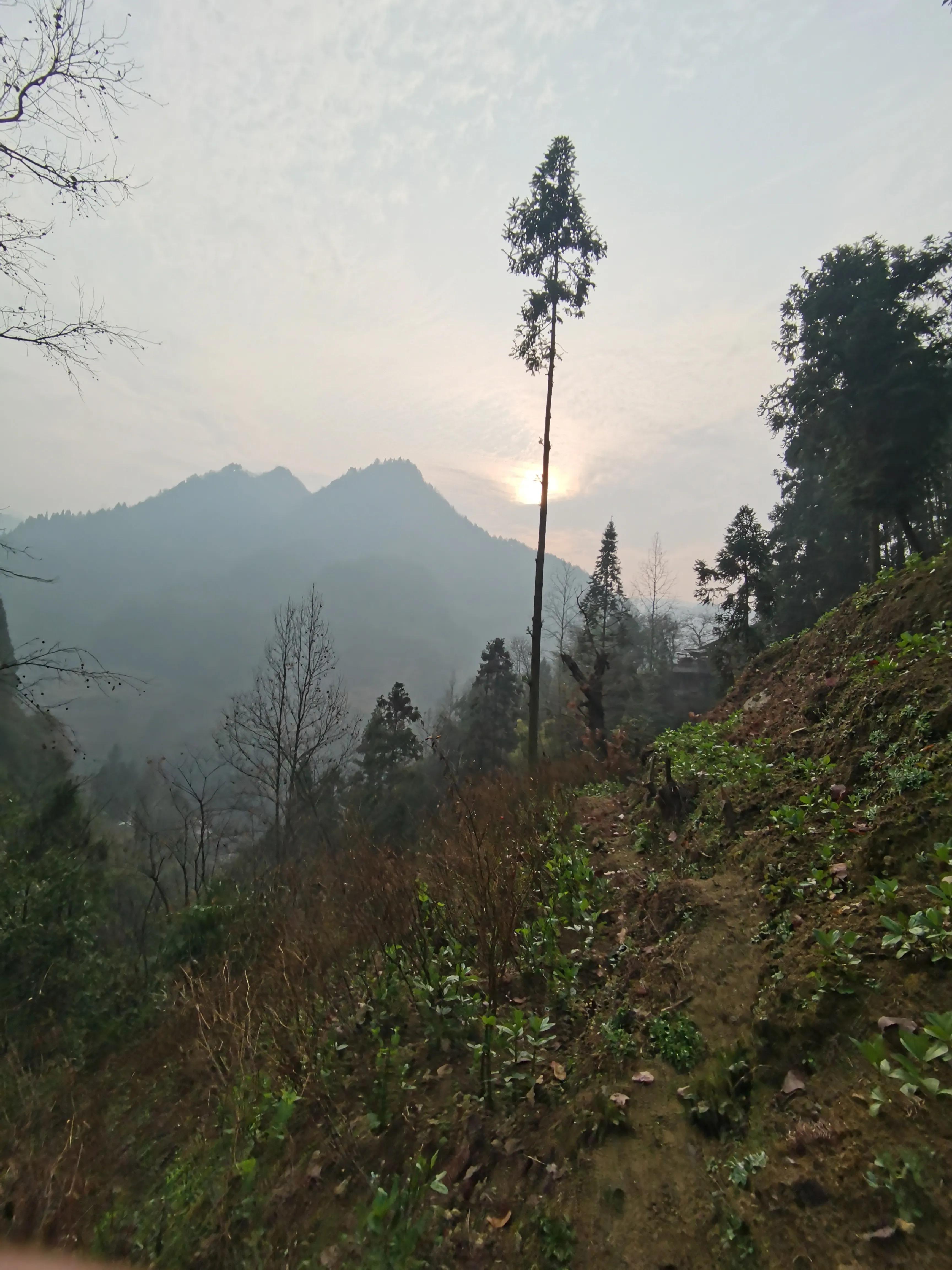 我家后面有座大山,我家后面有一座山用什么符号表示