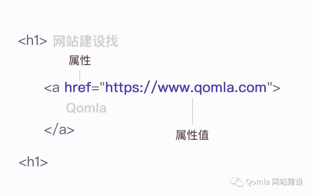 网站建设教程从新手到高手,网站快速建设入门教程