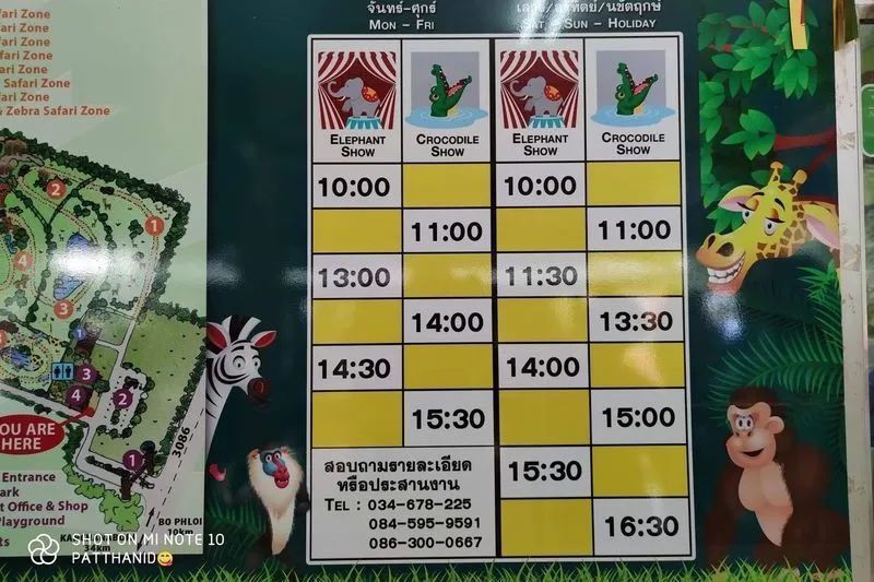 泰国曼谷旅游必去十大景区,泰国野生动物园亲子游