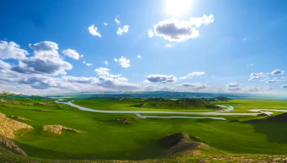 【视频】母牛人工授精技术