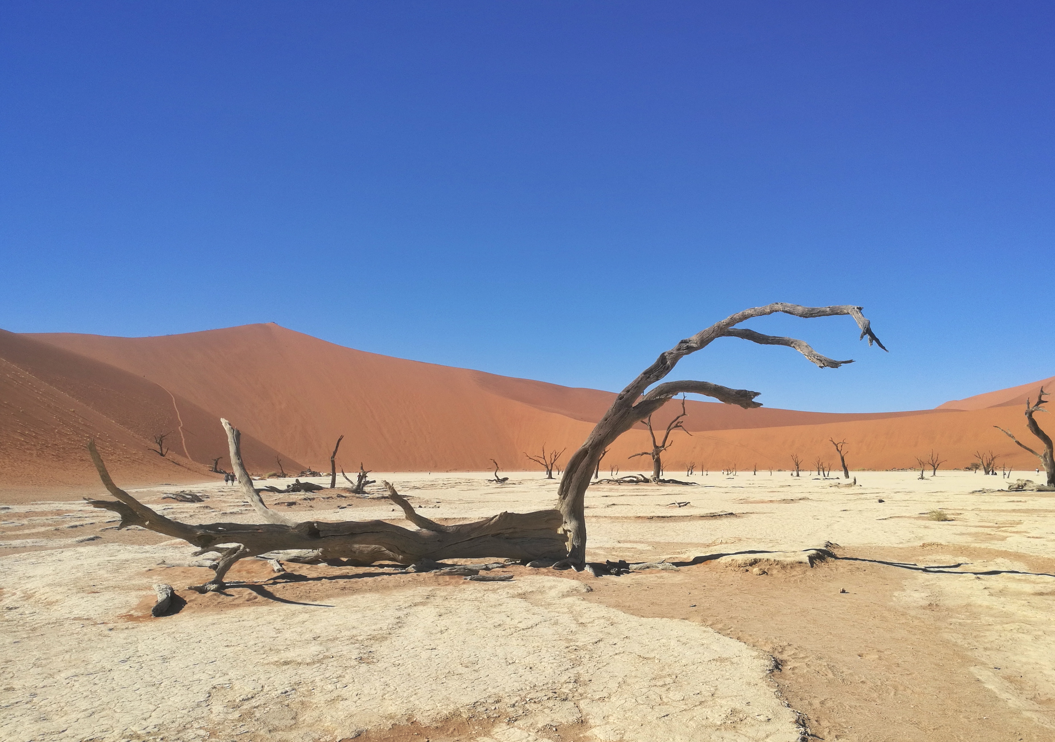 绾崇背姣斾簹绾㈣壊娌欐紶,绾崇背姣斾簹娌欐紶涔嬫梾