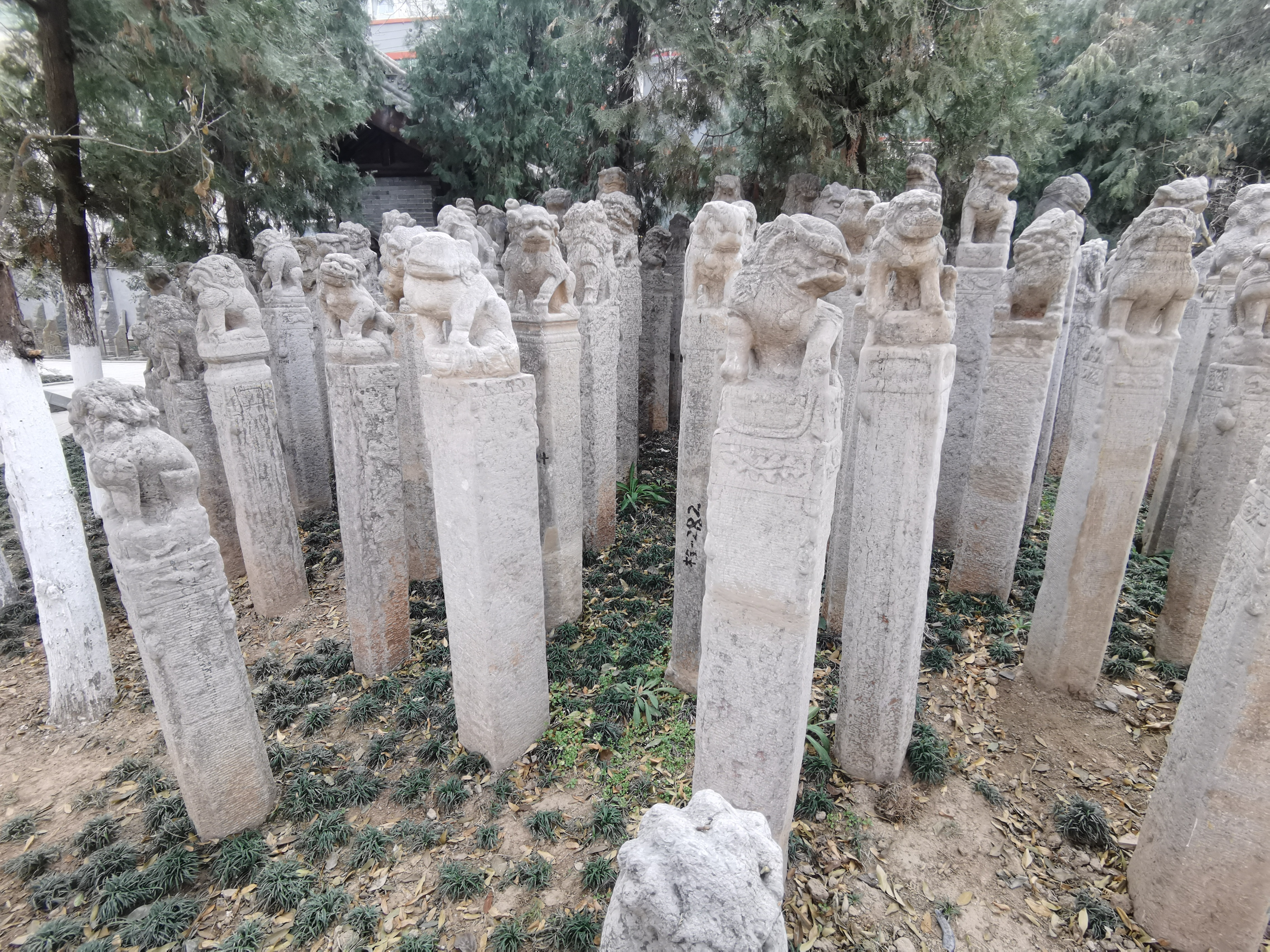 咸阳2天的短途旅游,咸阳出发三日穷游攻略