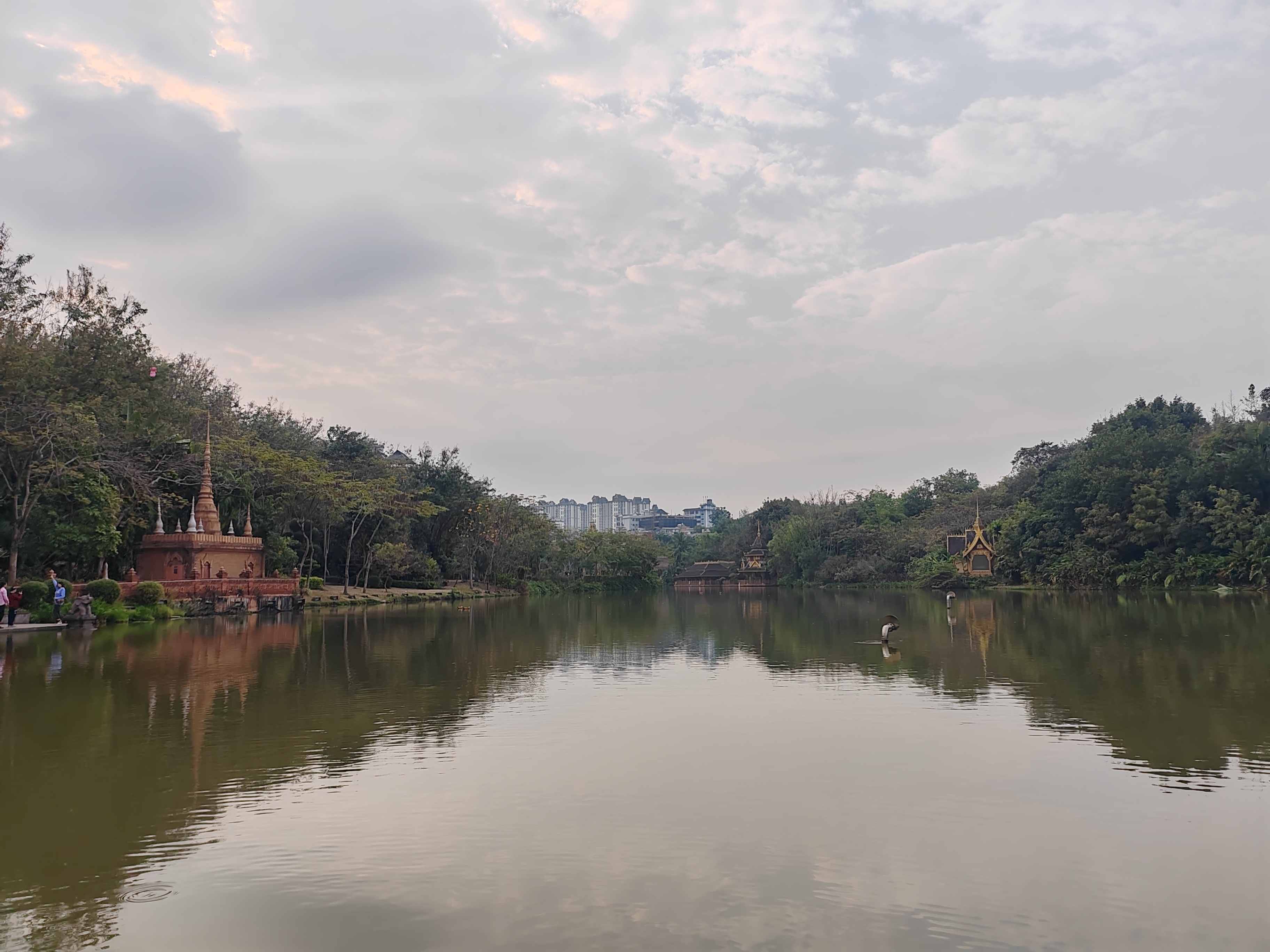 西双版纳曼听园攻略,云南西双版纳打卡曼听公园