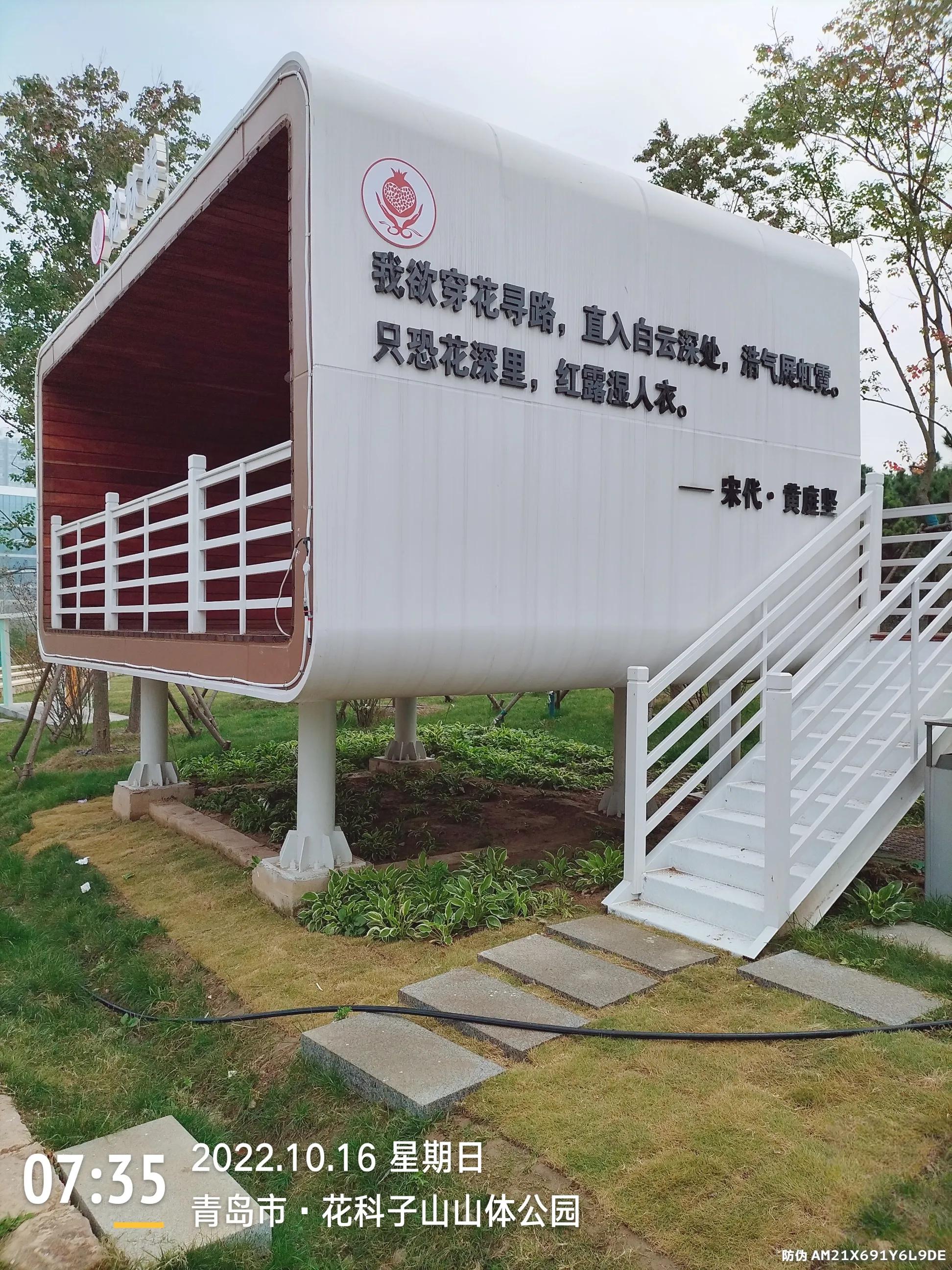 青岛西海岸赏花攻略,青岛海滨风景区一日游攻略