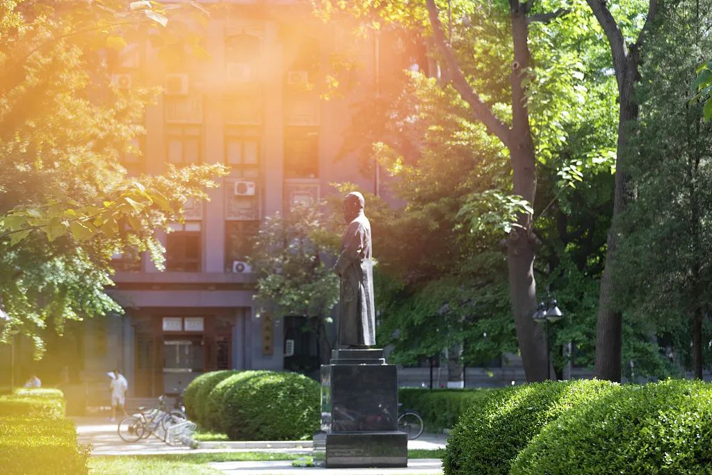 中国隐藏的八所大学,隐藏的985高校