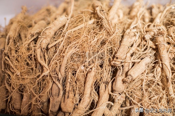 缇庢床浼犵粺鍖诲,鍙や唬缇庢床鎬庝箞娌荤梾