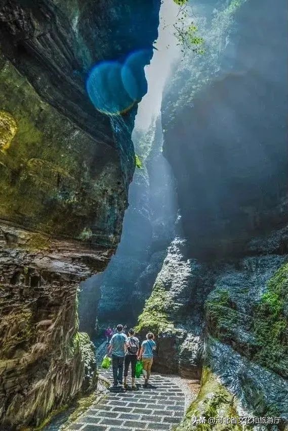 爱丽丝梦游仙境景区,爱丽丝梦游仙境青岛实景