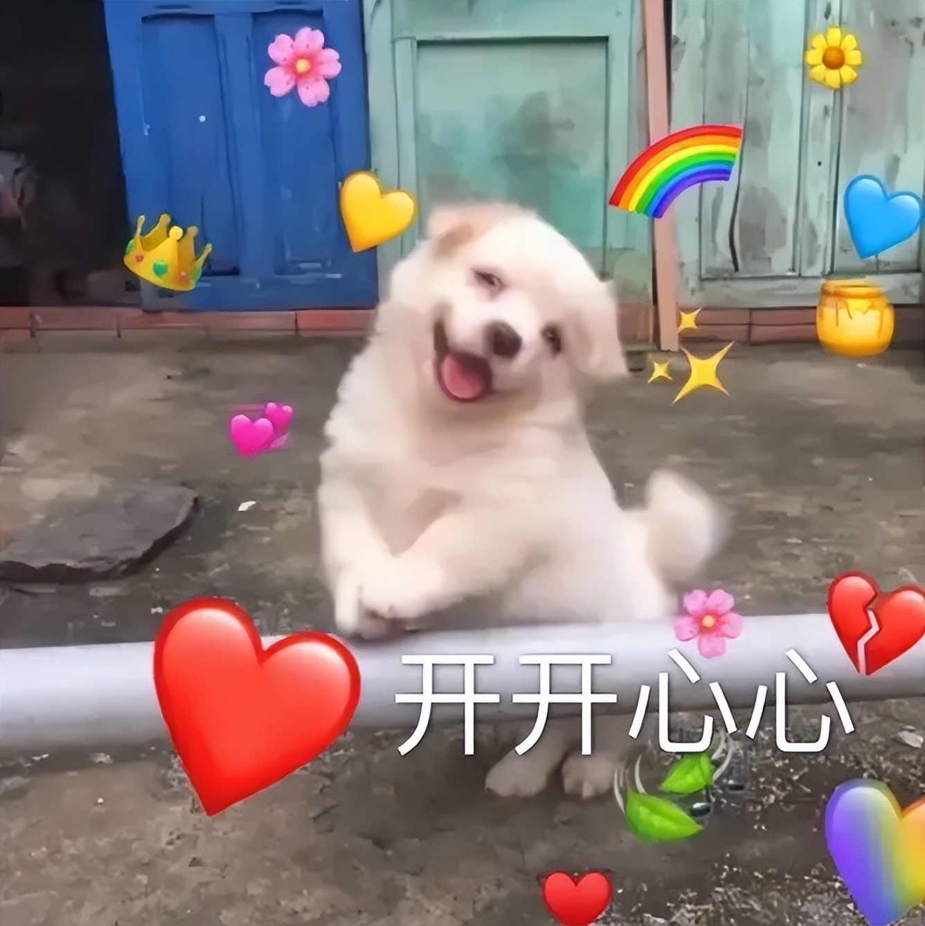 国际庄spa,国际按摩spa