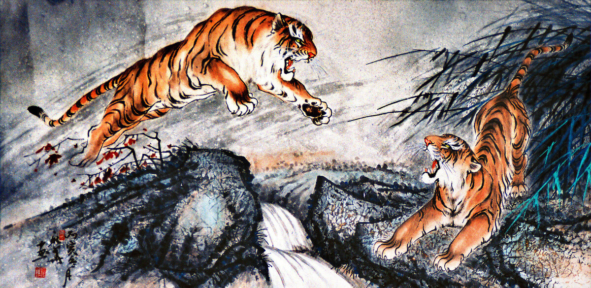 属虎的在虎年注意什么,虎年关于虎的常识