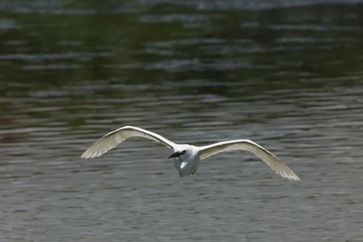 2023年佳能eosr7还值得买吗,性能最佳的半画幅相机