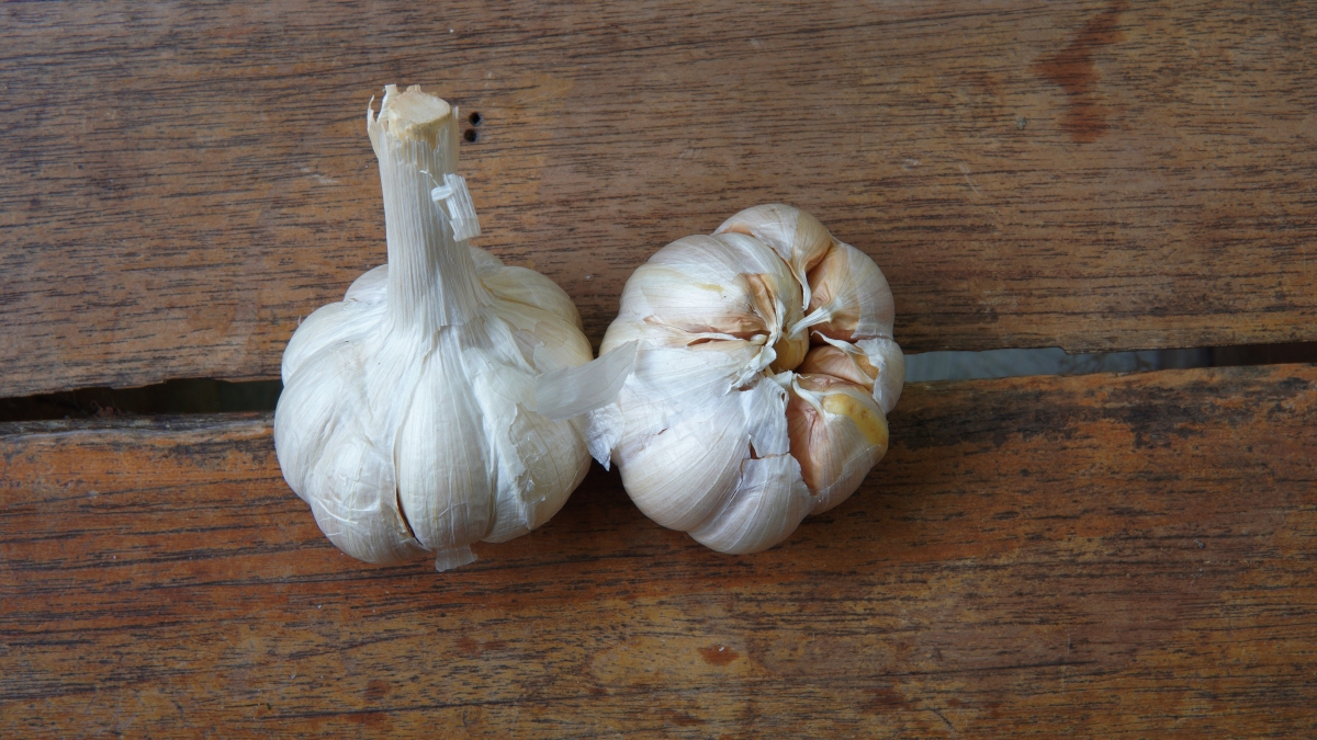 拉肚子吃大蒜能解毒吗,经常吃大蒜就拉肚子