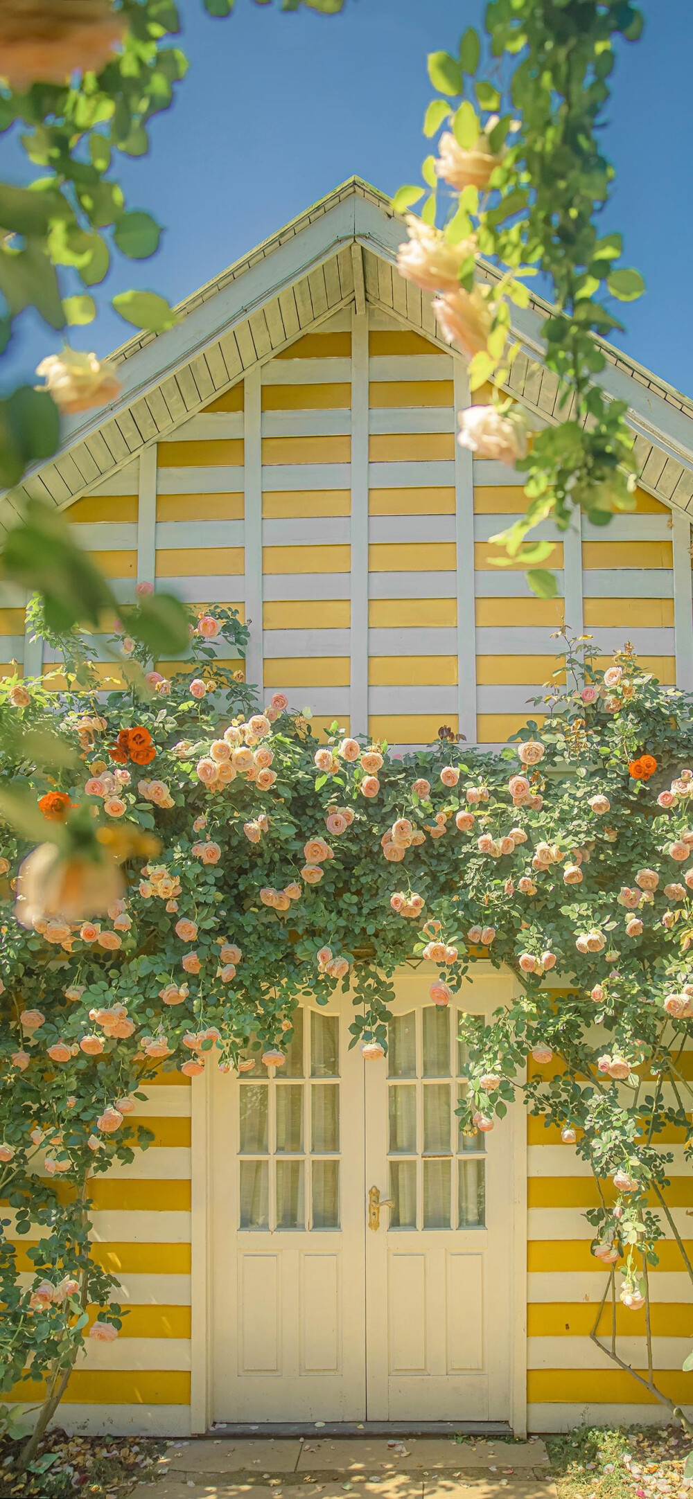 街角花店图片壁纸,花店壁纸图片大全