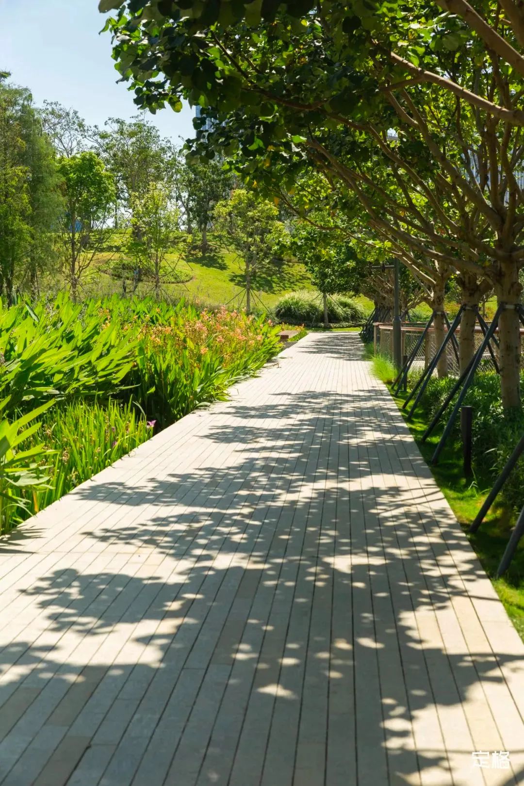 周末来深圳这10个地方免费玩,深圳周末去哪玩免费的地方