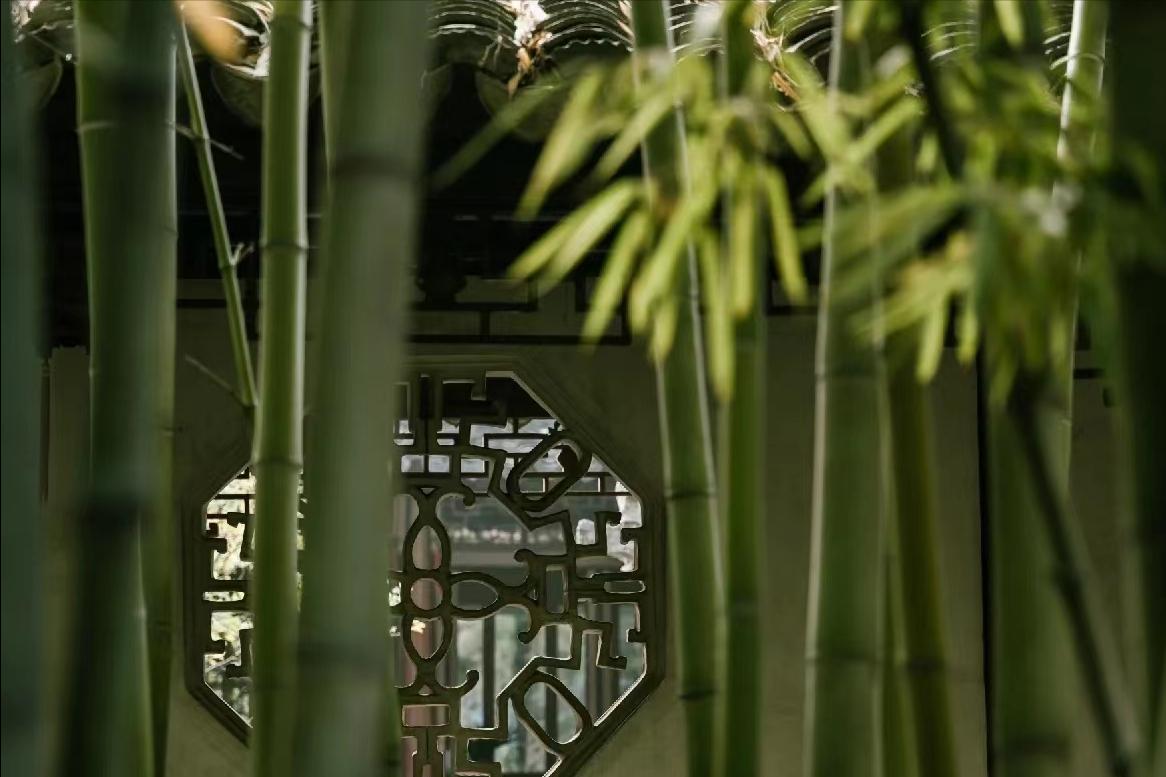 去苏州必玩的十大园林,苏州宝藏园林盘点