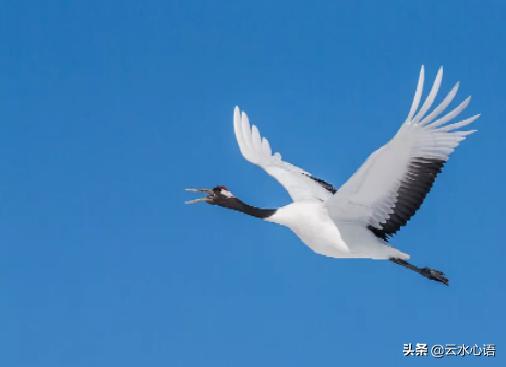 朱熹蕴含道理的诗,朱熹诗中最有名的五言绝句