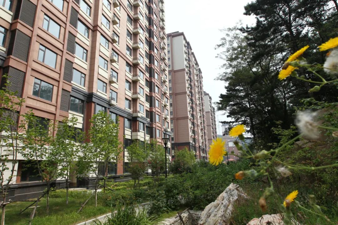 央企开发商扎堆买地,央企国企组团