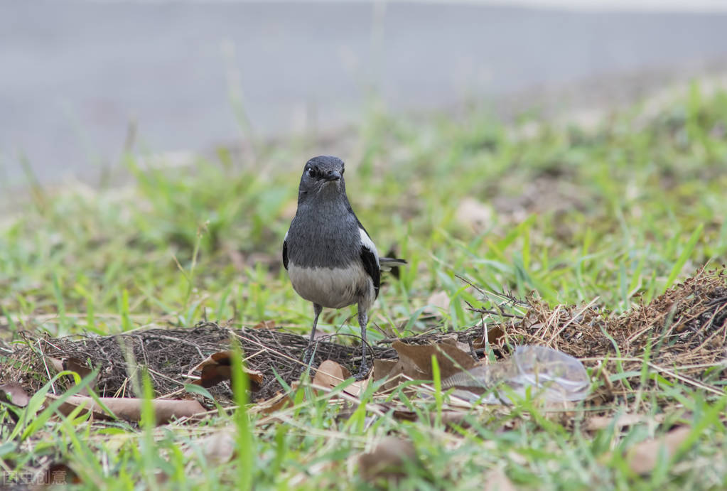 宁夏冬天最冷多少度,宁夏冬天怎么旅游