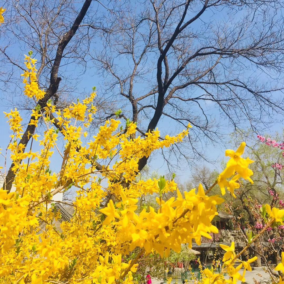 看起来温柔实际上凶猛,看起来温柔实际上很狠