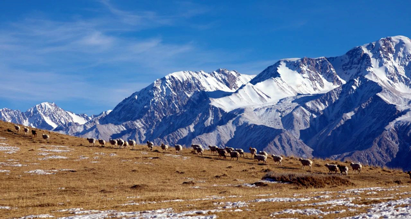 玩转新疆系列,玩转乌鲁木齐要几天