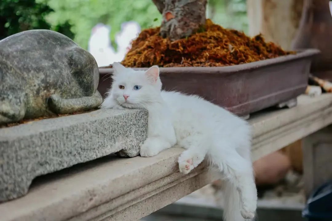 赵明明：上班摸鱼，是我的梦想!