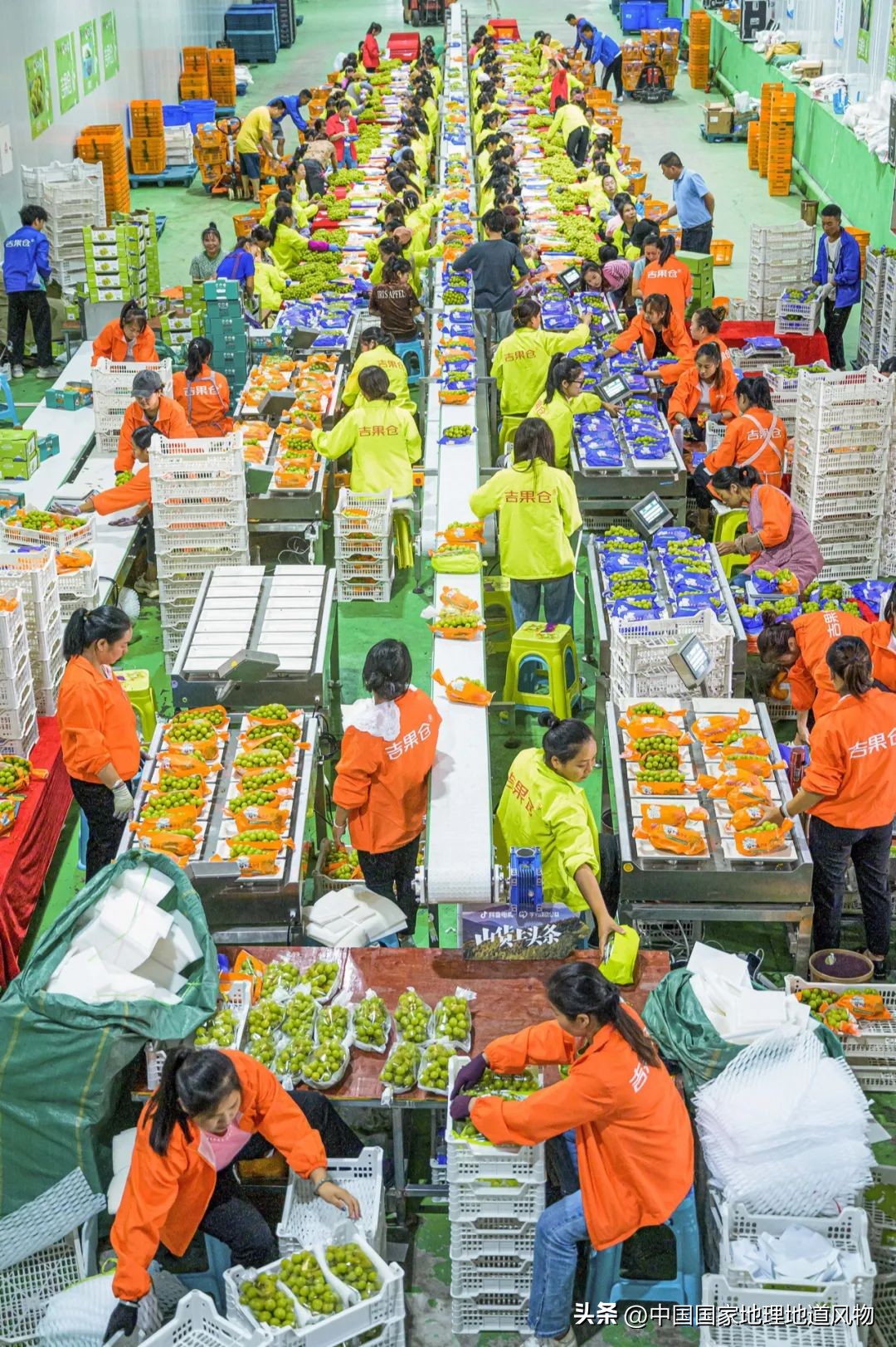 大山深处有哪些秘密,大山里的秘密是哪里的