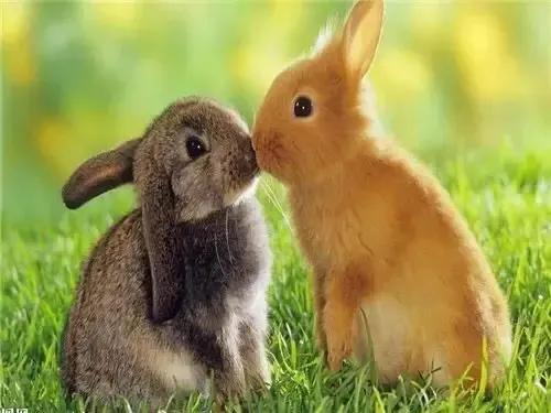 好玩又能赚钱的好项目,好玩又能挣钱的东西靠谱吗