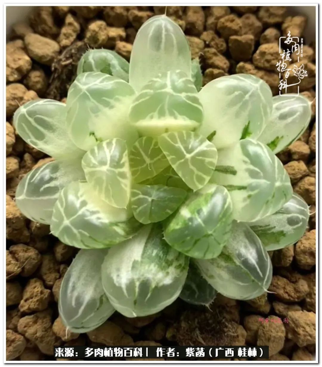 酷暑里的关爱，如十二卷般透亮绵长