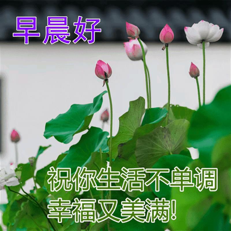 2023年02月27日星期一农历:癸卯年【兔年】二月初八八九第5天