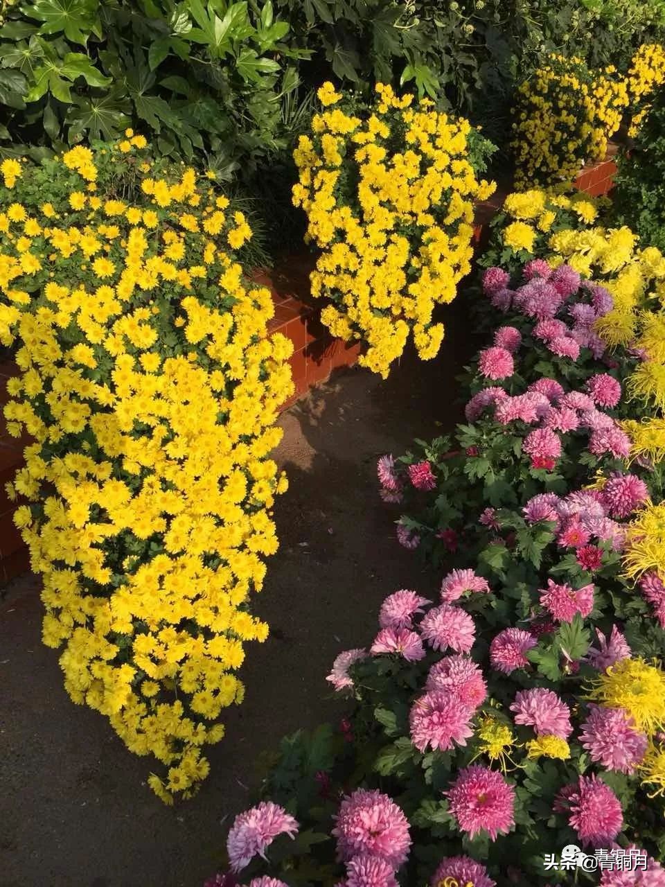 红楼梦第十八回笔记,红楼梦第十八回分享