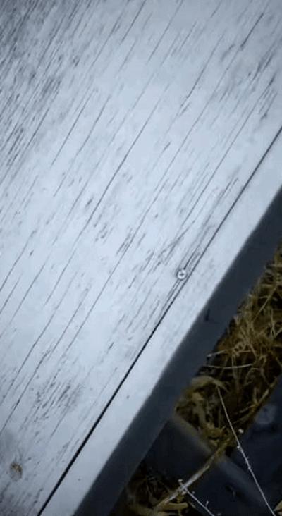 閲忓瓙鍔涘杞欢鎺ㄨ崘,閲忓瓙鍔涘杞欢