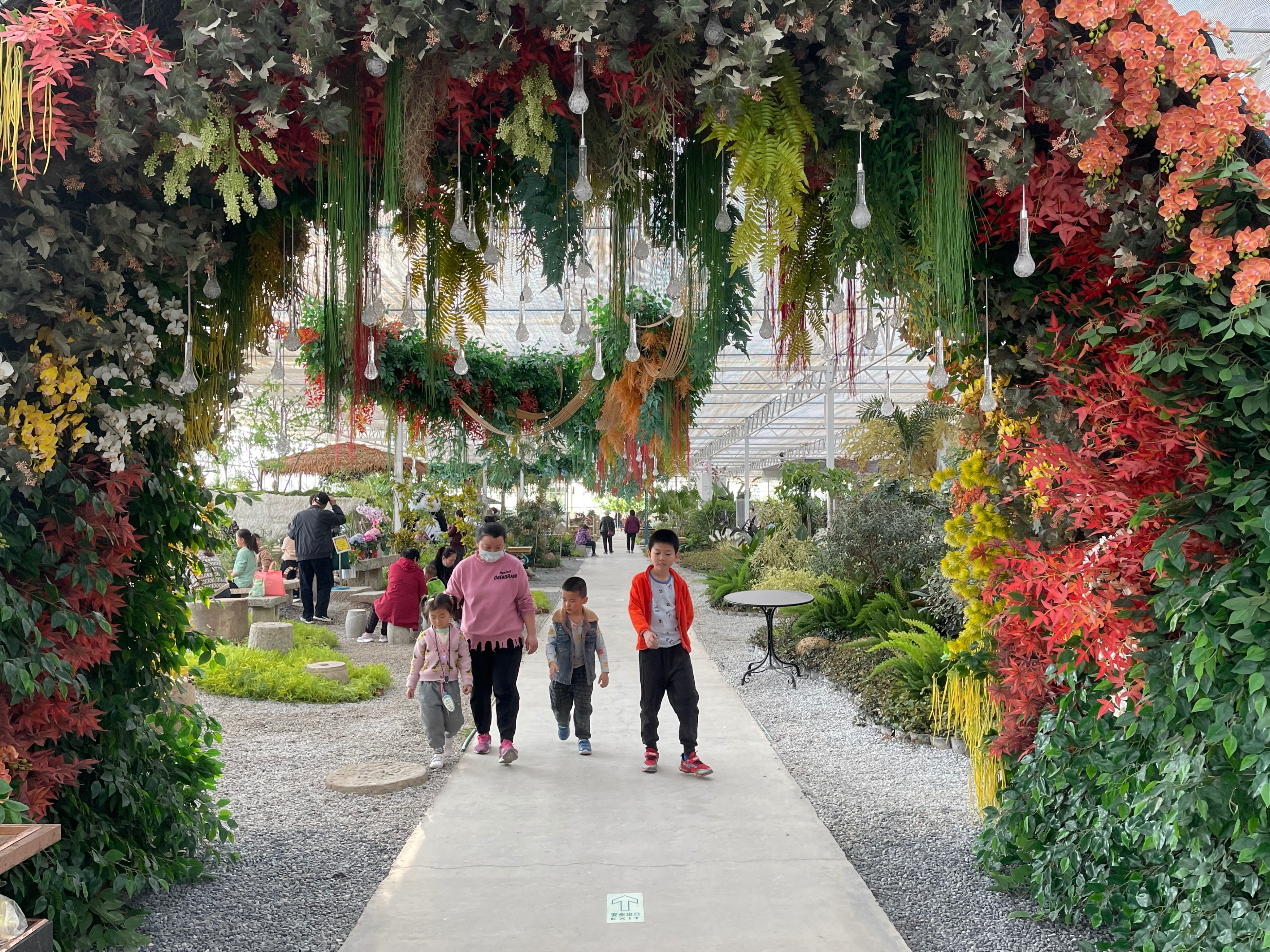 赏花、购花、娱乐，市民自家的小菜园，玉合赢花园中心挺棒