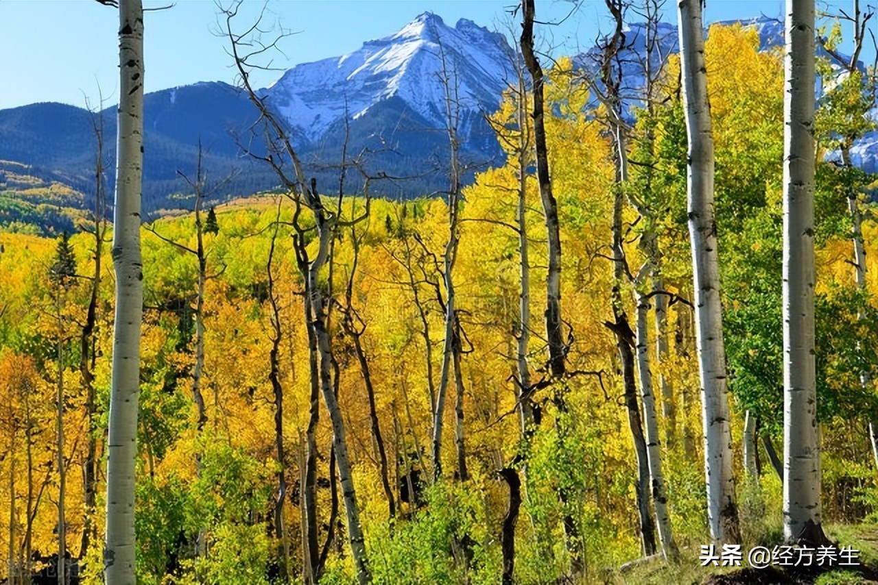 治病过程记录,治病是个长期过程