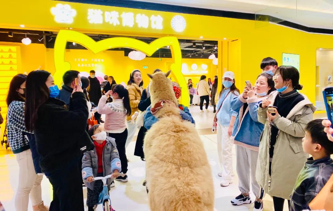 银泰百货新开的店,银泰商业旗下百货店有哪些