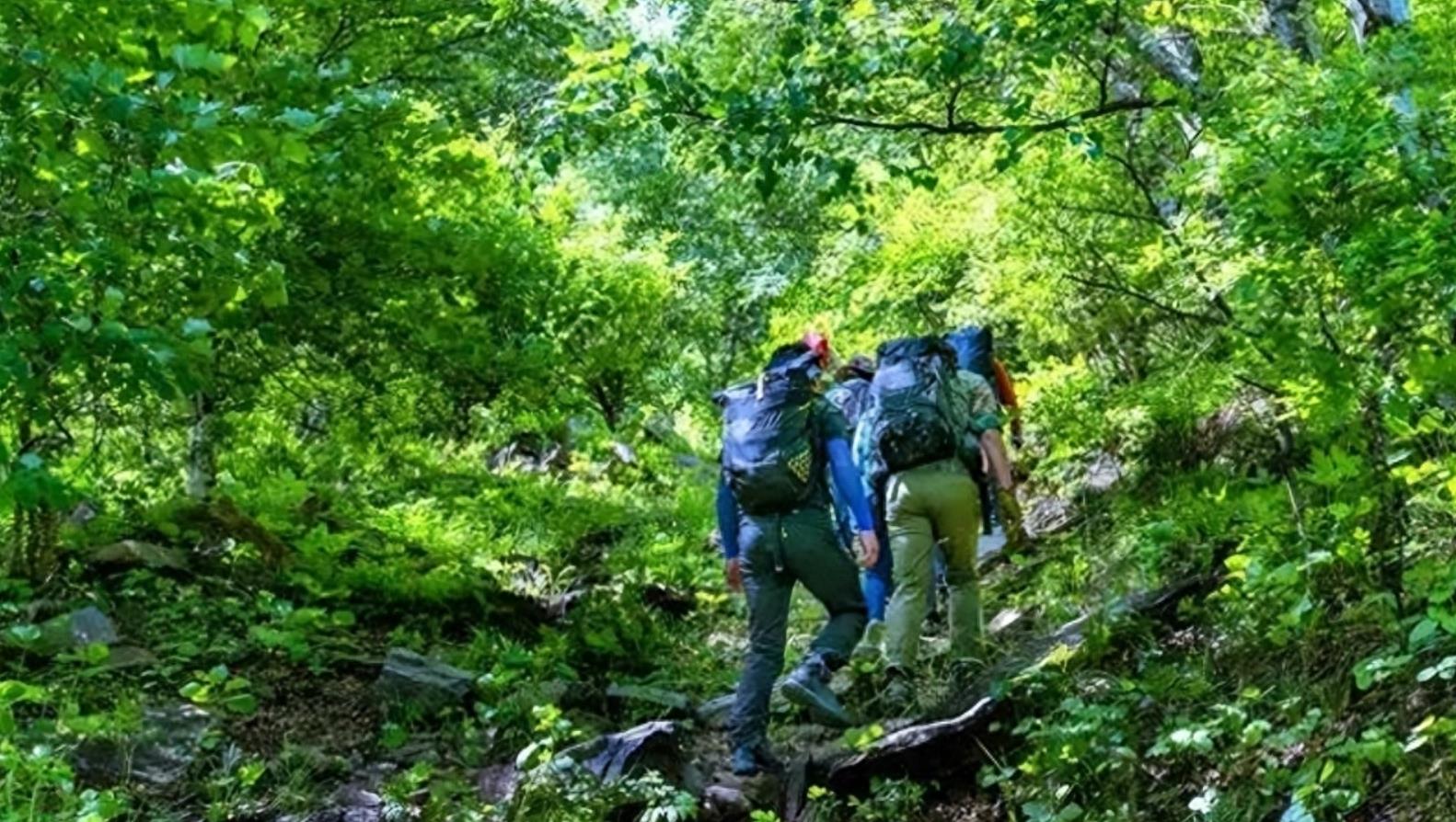 移居十年，捡到600多块河橄榄石，专家建议上交